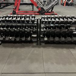 5-50lbs Dumbbells w/Rack 