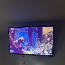 55 Inch TLC Roku Tv