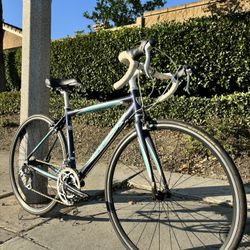 Trek  Road Bike - CLEAN