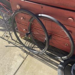 Bike Rims
