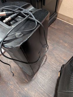 Stero stage speaker