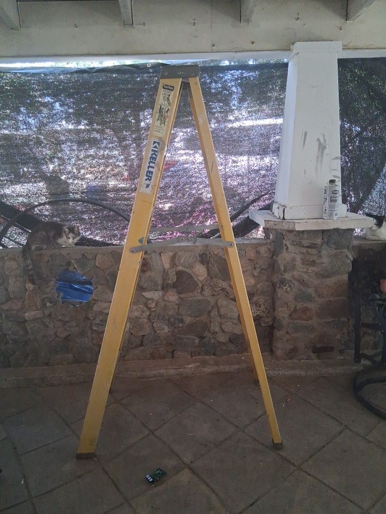 ladder 6 feet