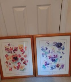 2 Mary Wooten PANSY pictures