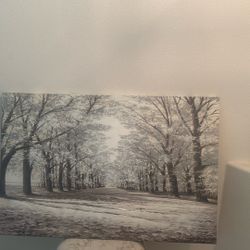 Big Beautiful  Winter Picture 