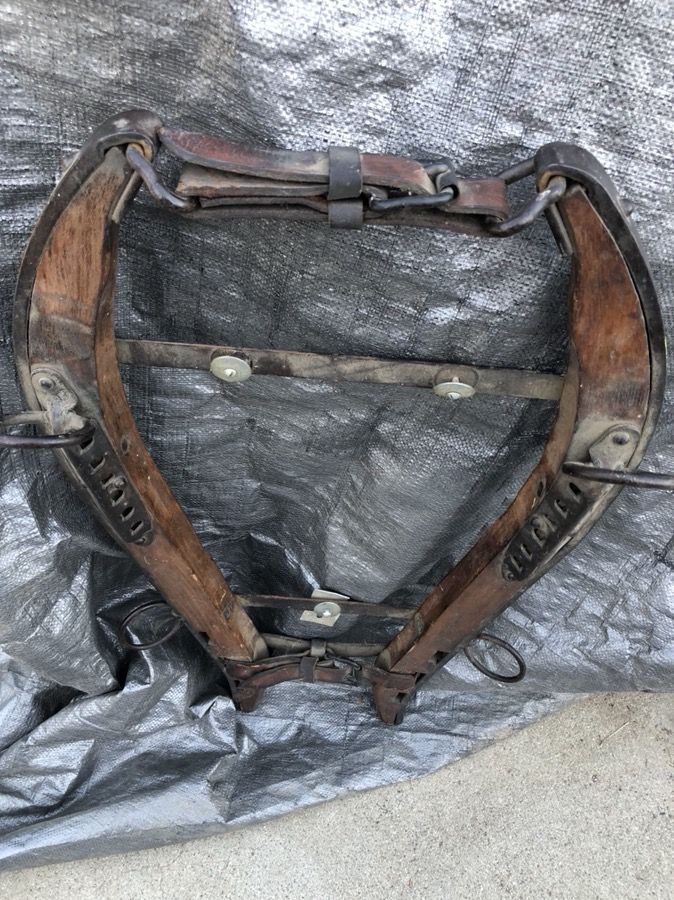 Collectible horse or mule collar