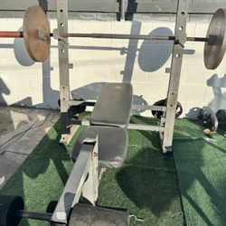 Weight Bench + Barbell + Plates + Dumbbells (Bundle Set)