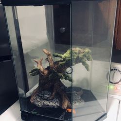Lizard Tank With Heating Pad  150 Obo 