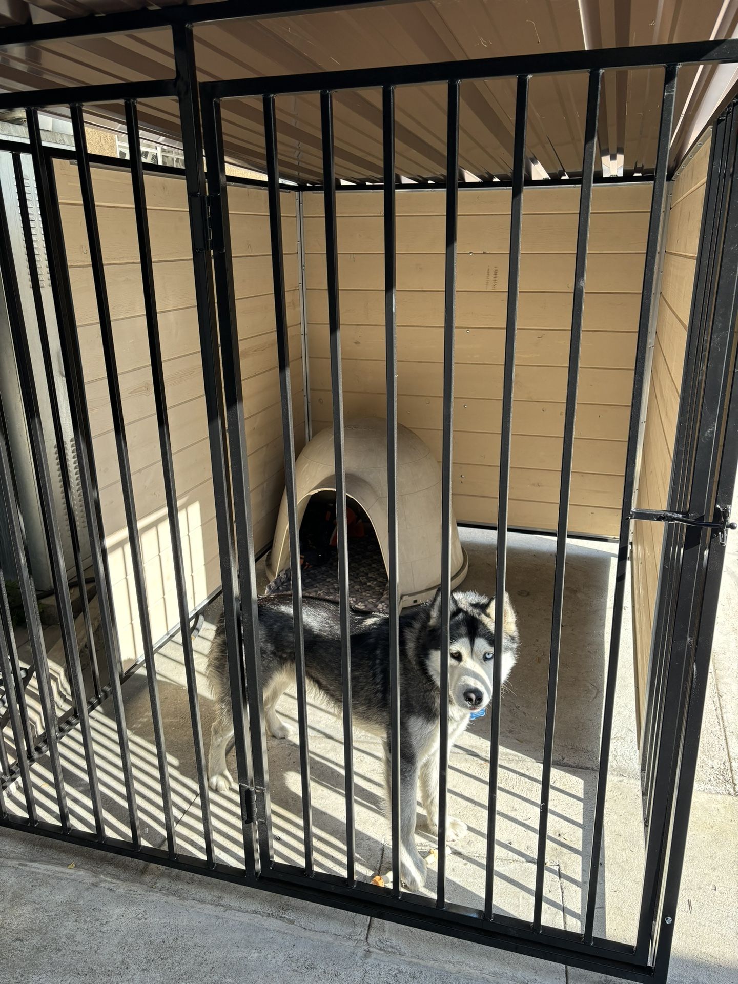 Custom Dog kennel 