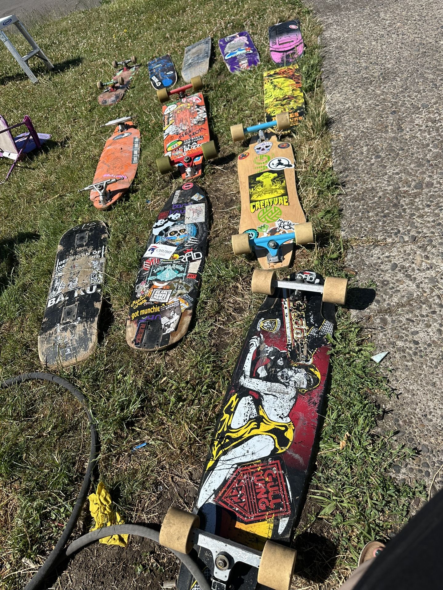 Longboards And Skateboards