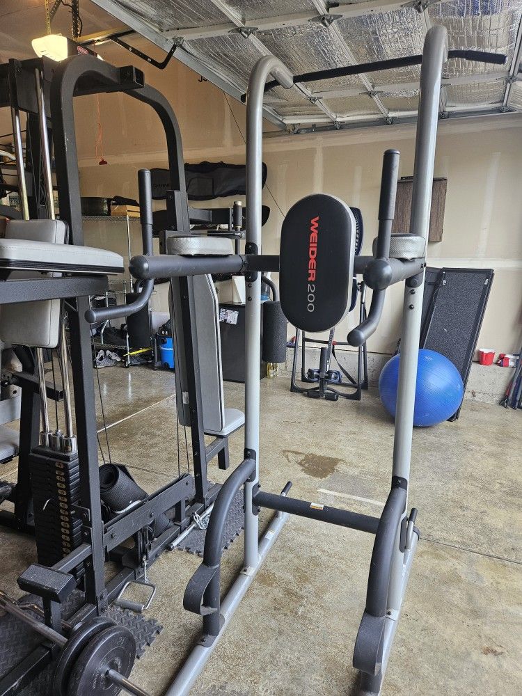 Weider 200 Power Tower