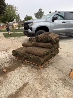 30 rolls of sod