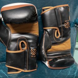 Sanabul boxing gloves + mitts