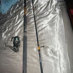 Fishing Rod With Shakespeare Reel 