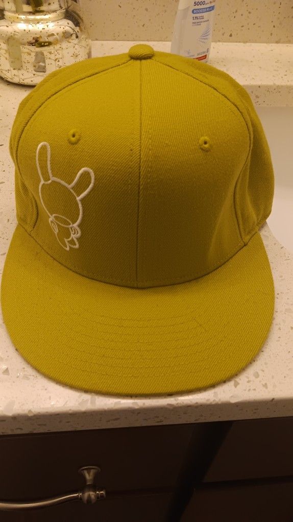 Kidrobot Hat