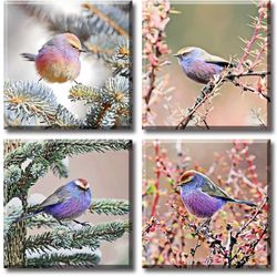 Brand New Bird Canvas  Decor