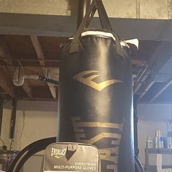 Postponed Sell.....Everlast 250lb Punching Bag