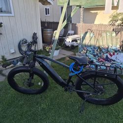 Velowave Ebike 