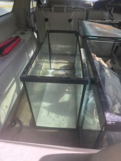 Reptile tank
