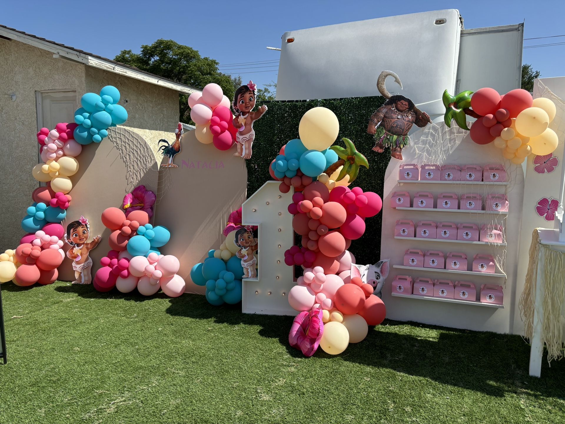 Moana Back Drop Balloon Garland