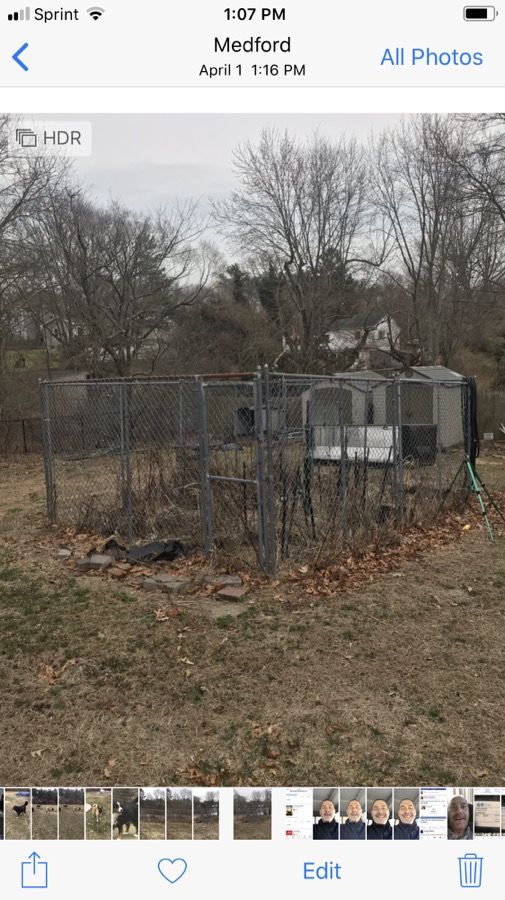 Dog pen / garden pen