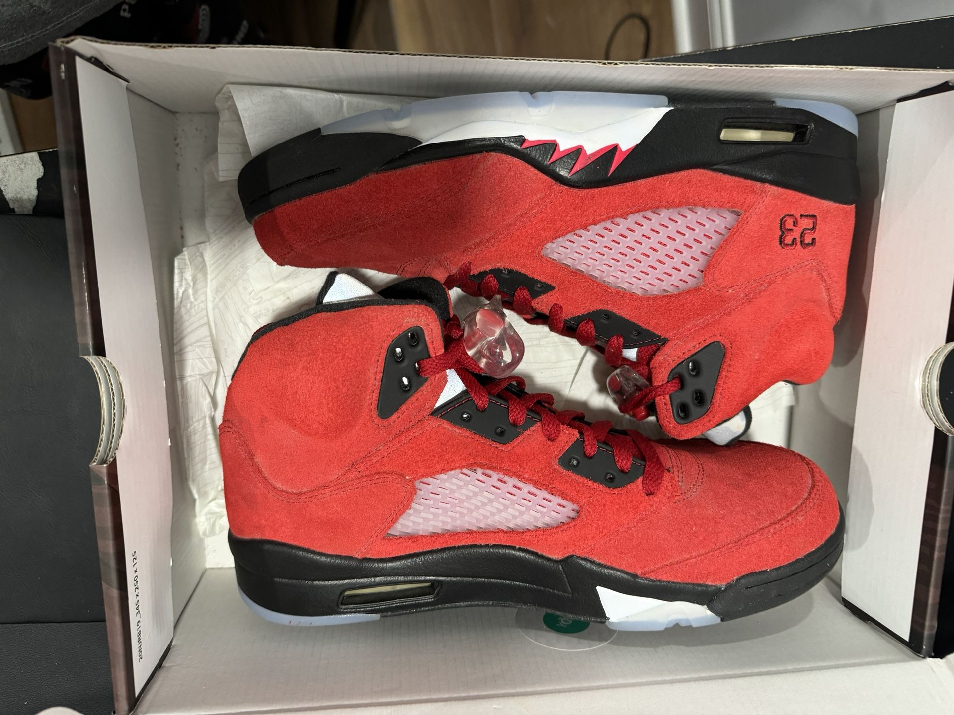 jordan 5 toro brand new