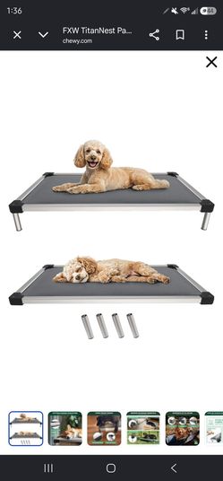 Elevated dog/pet bed