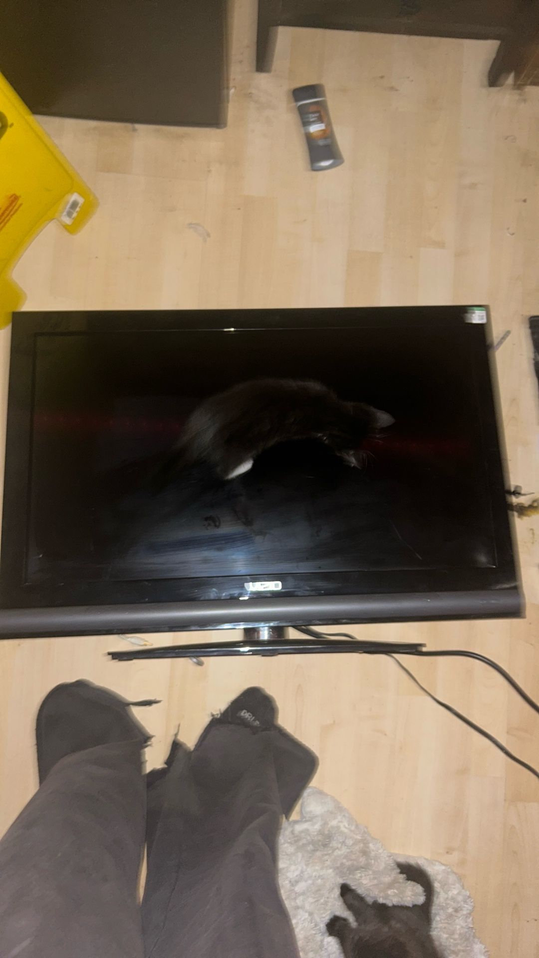 Vizio (cable and hdmi included)