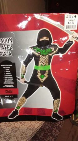 Ninja costume