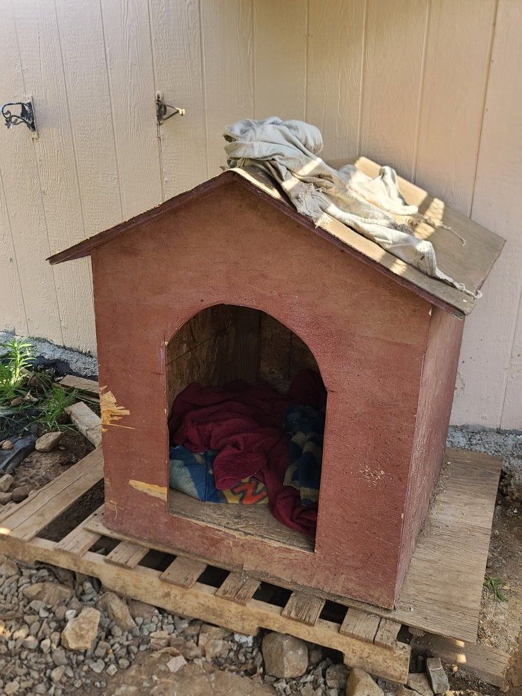 Xl Dog House