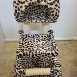 LEOPARD CAT TREE (LOOK AT MEASUREMENTS ON PICTURE)