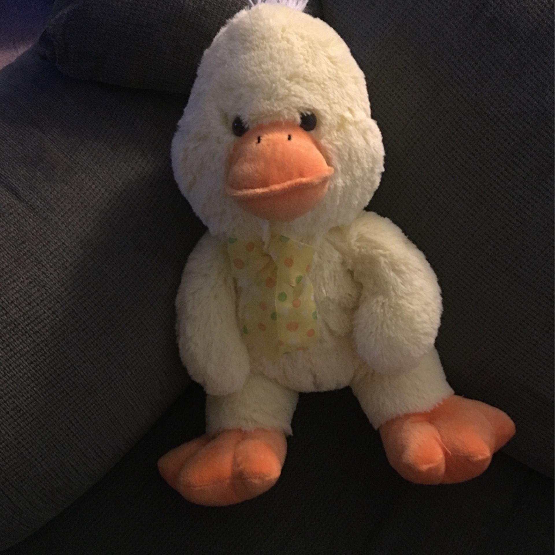 Stuffed Duck