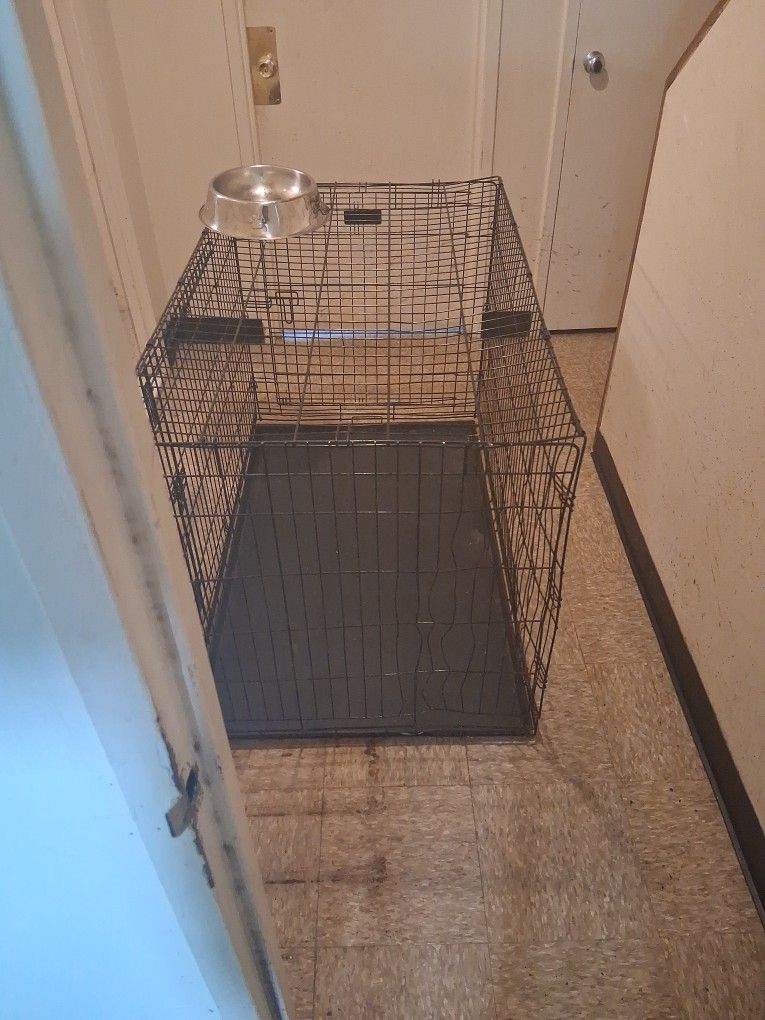 Large Dog Cage