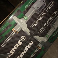 Front Struts