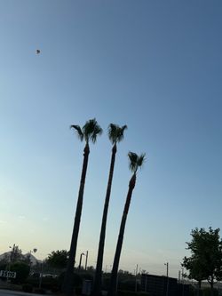 Trimming