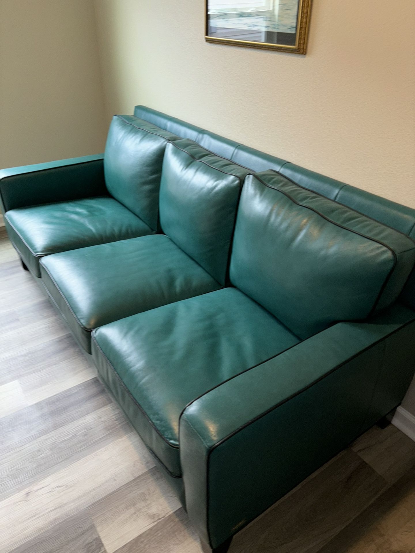 Abbyson Leather Couch