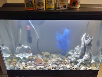 Fish tank/ Stand / Accessories