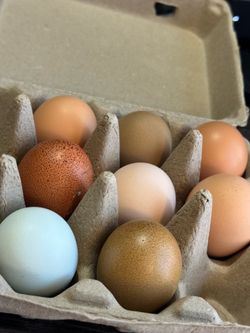Fresh Farm Eggs - Happy Hen Eggs