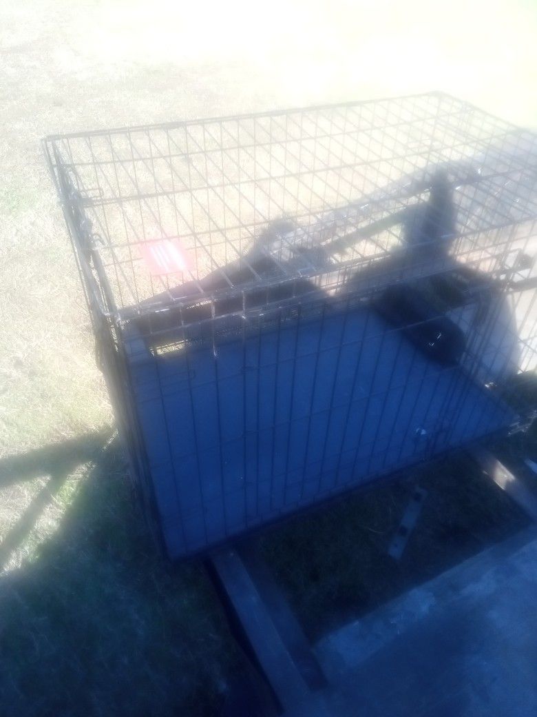 Dog Pen