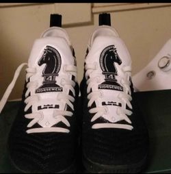 Lebron 16 4 horsemen size 8.5