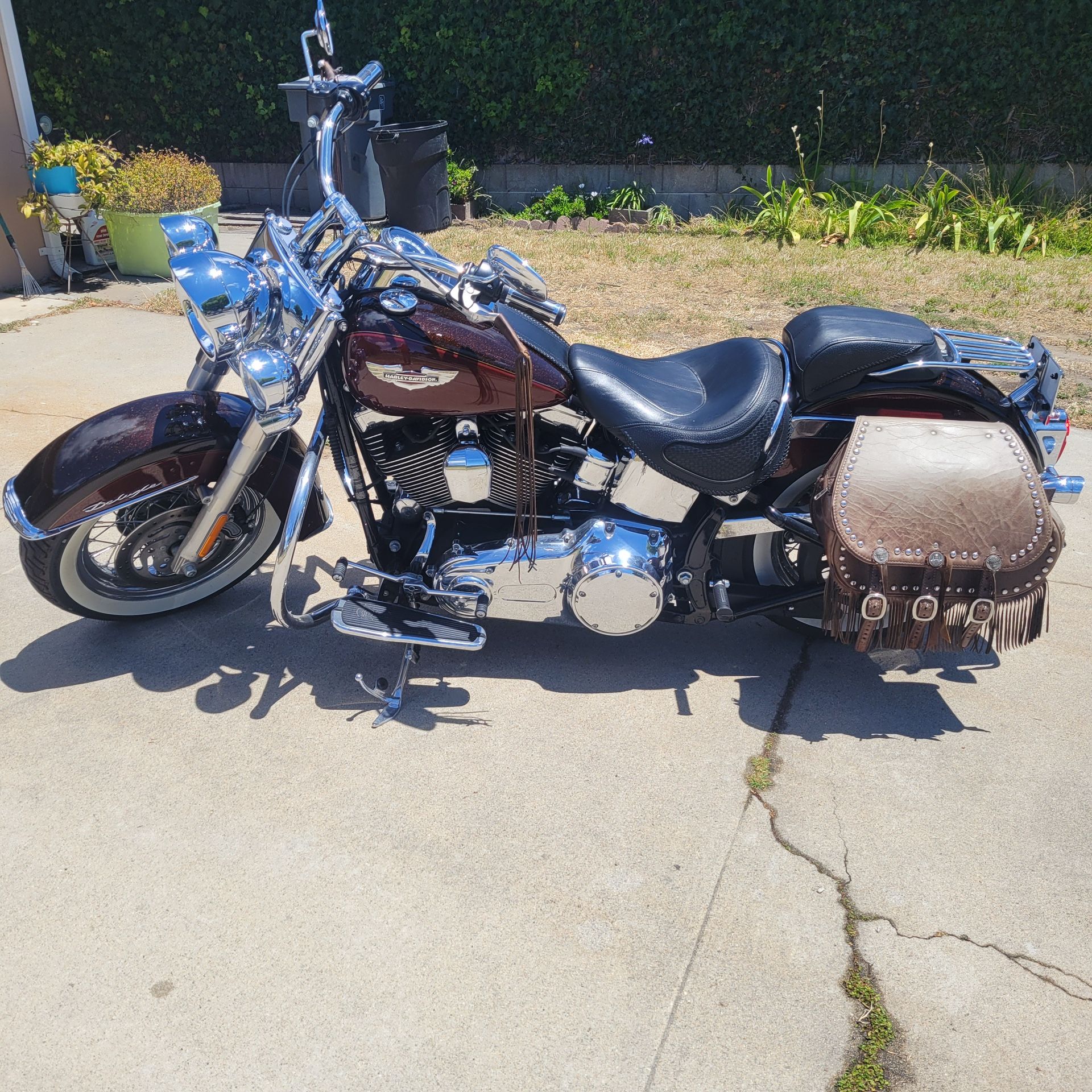 2010 Soft tail deluxe Softtail deluxe