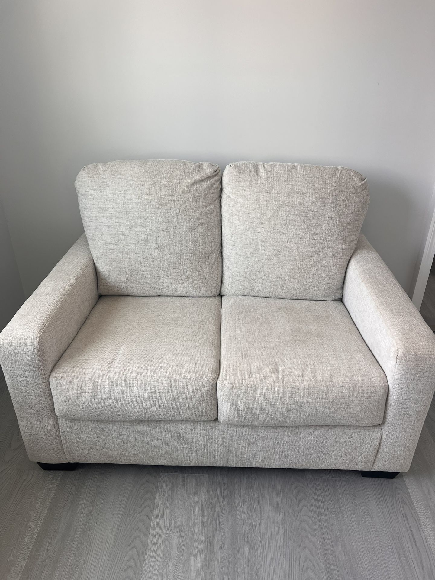 Loveseat Pullout Sofa