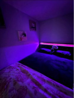 Queen LED bed