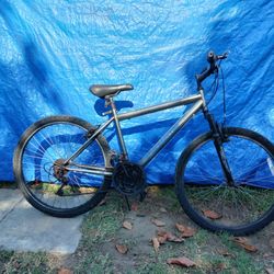 Roadmaster Bike