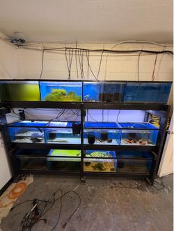 Tanks and rack for sale