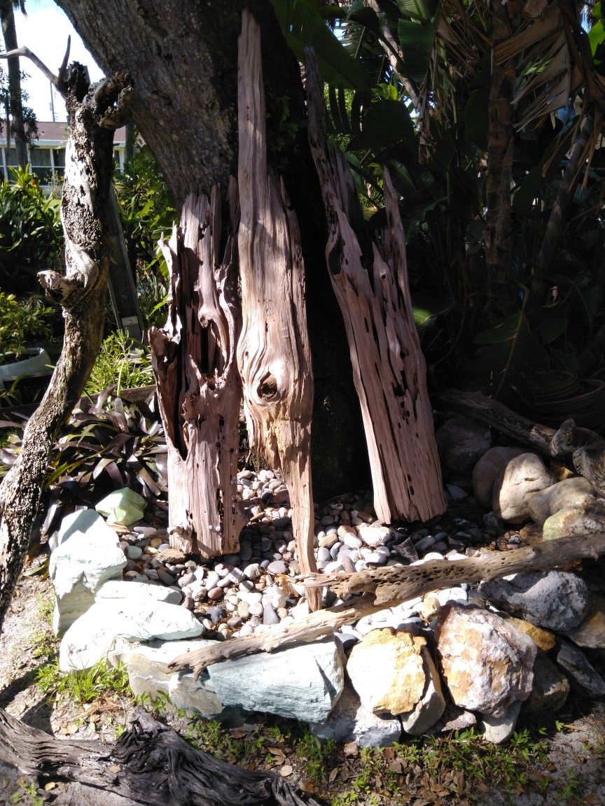 Driftwood