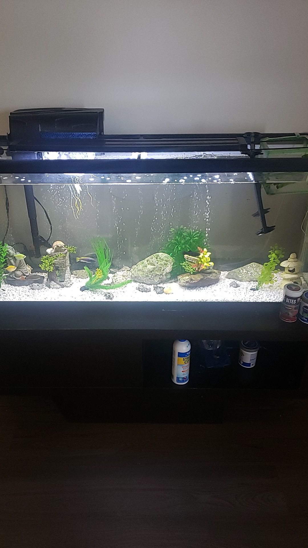 Fish tank 55 gallon with everything 200