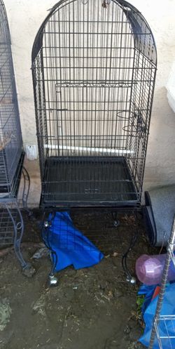 Bird Cage