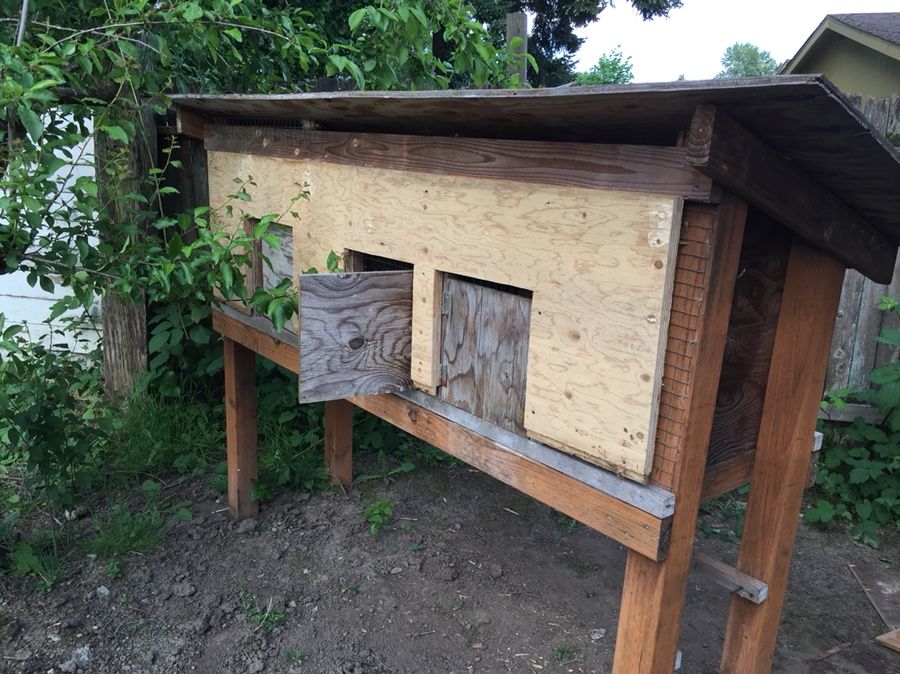 Chicken Coop FREE