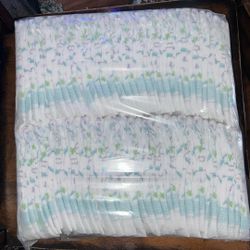 Size One Diapers Kirkland Brand 