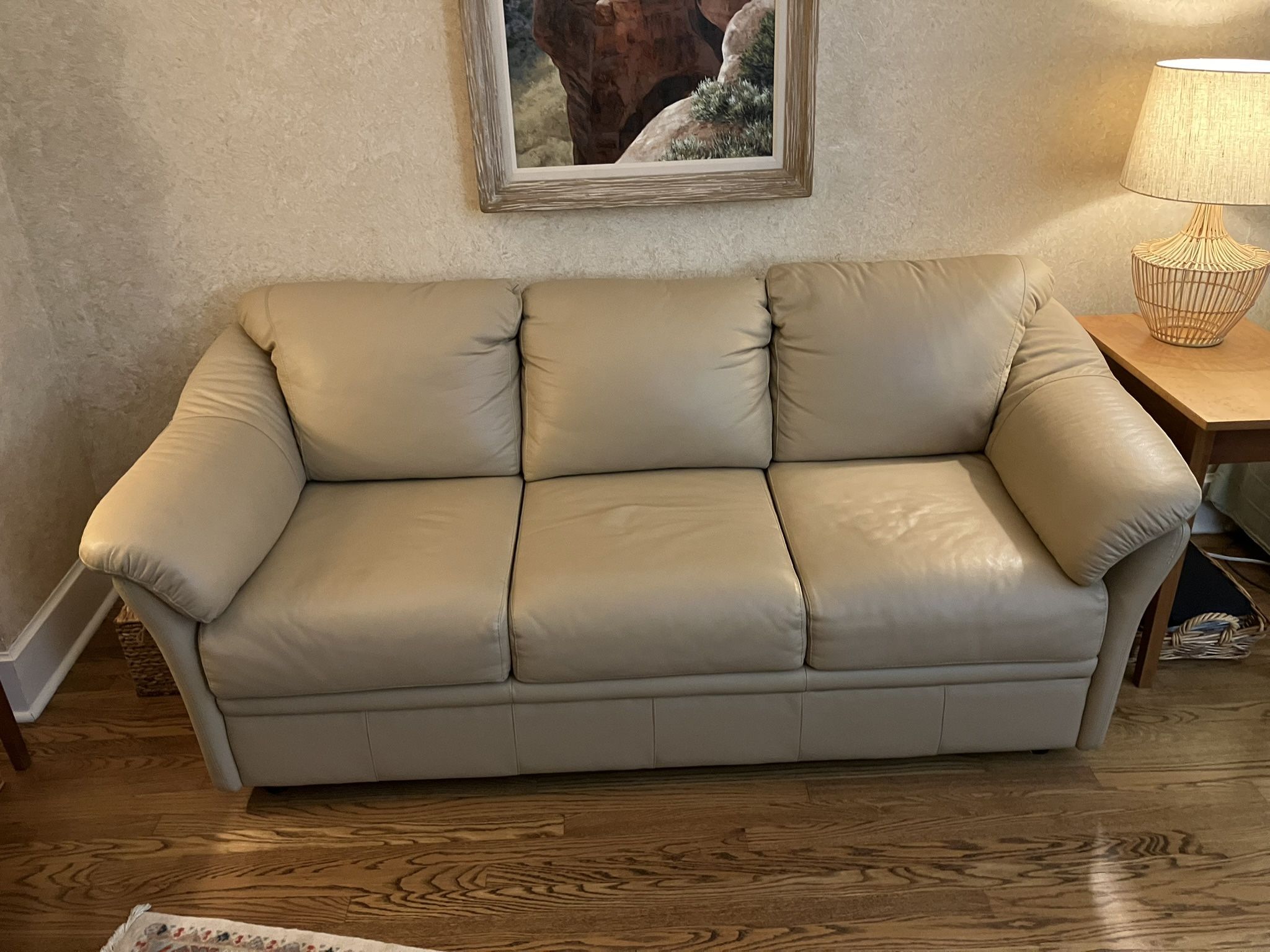 Leather Sleeper Sofa